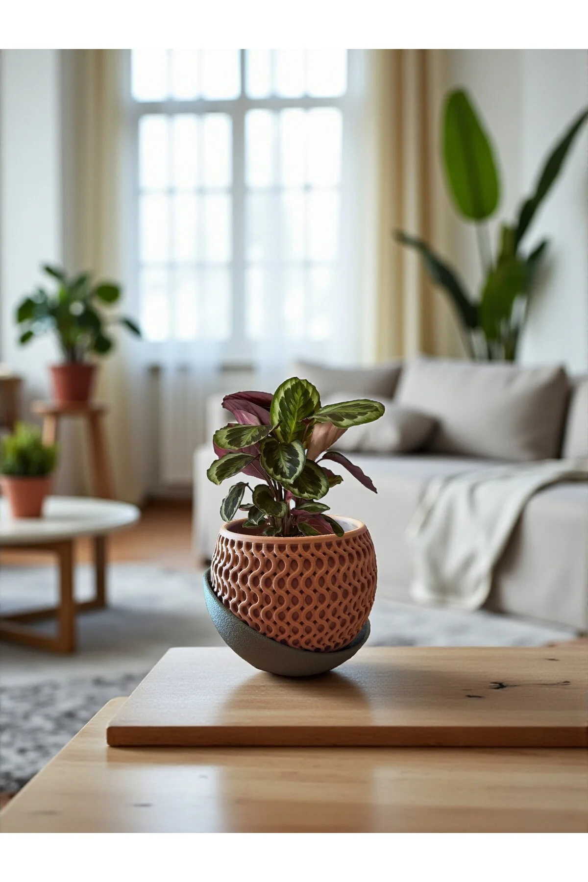 Desenli Saksı – Drenaj Tabağı ile Modern Tasarım