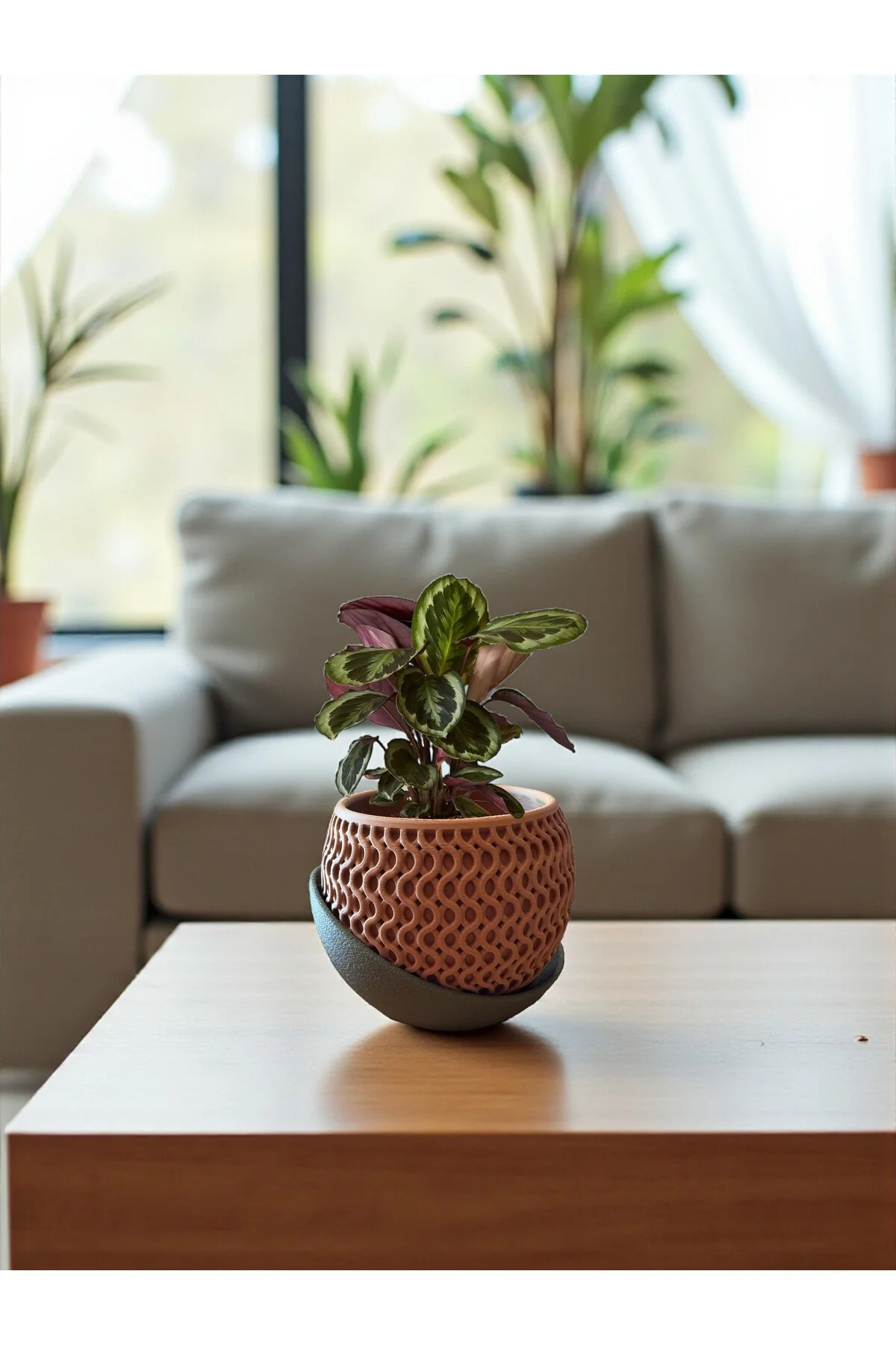 Desenli Saksı – Drenaj Tabağı ile Modern Tasarım