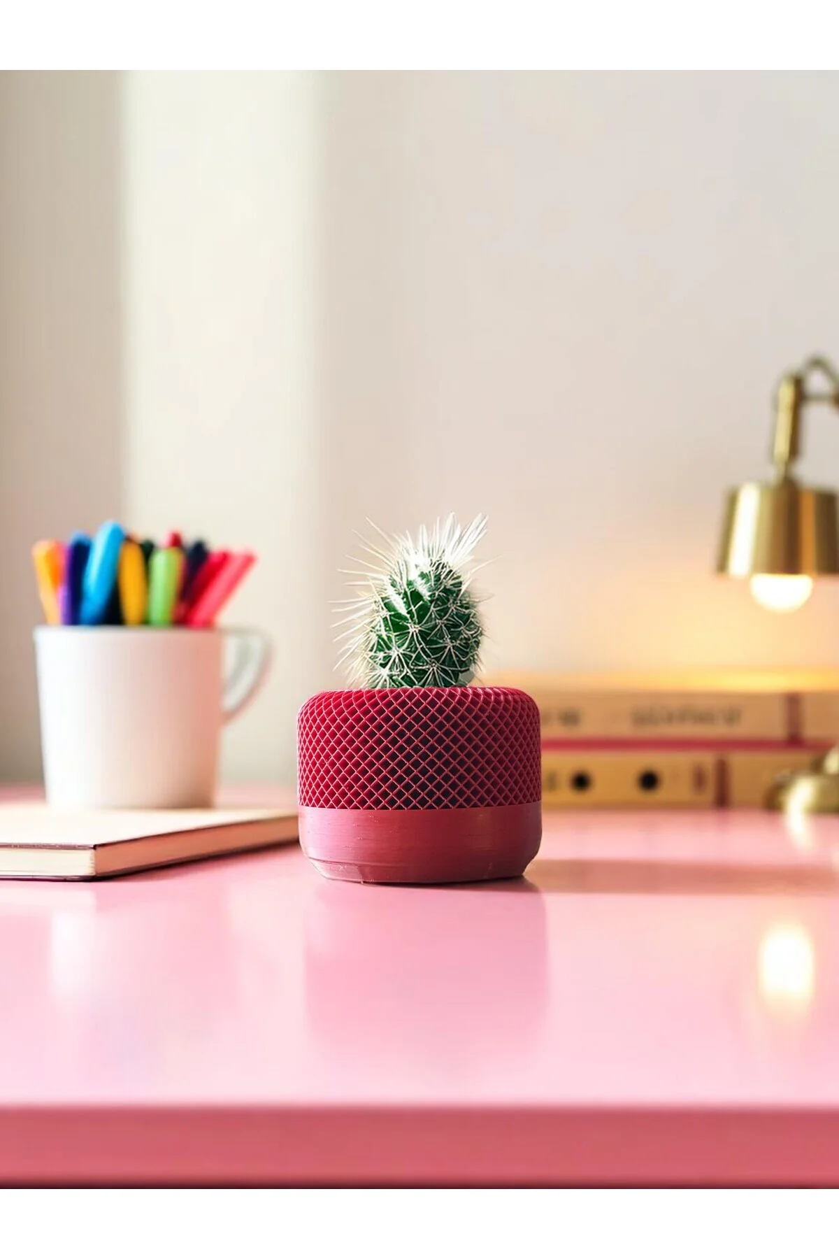 Modern Sukulent Saksısı – Dekoratif Kaktüs Saksısı