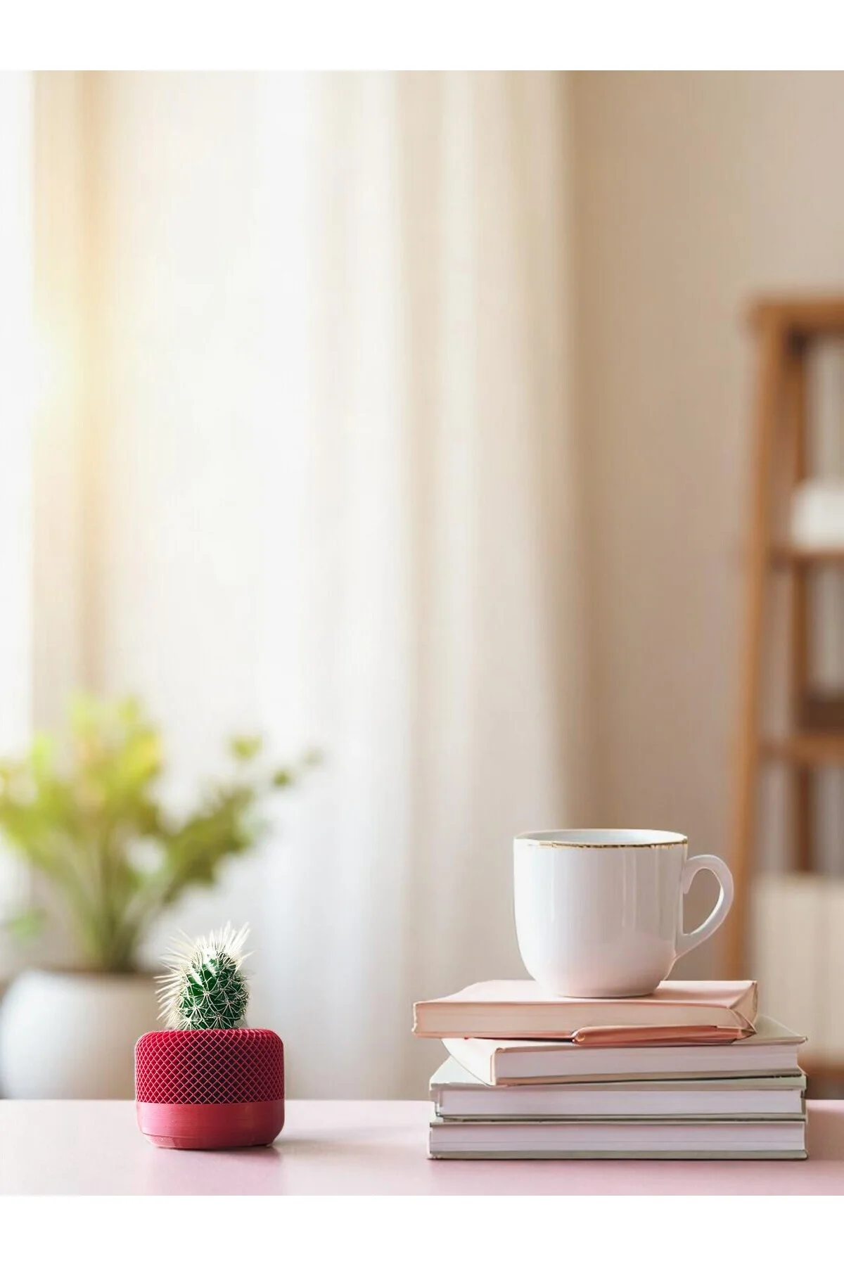 Modern Sukulent Saksısı – Dekoratif Kaktüs Saksısı